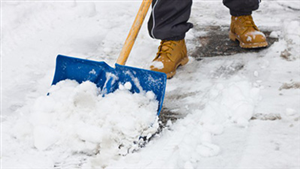 Ordinanza Neve Ordinanza Neve