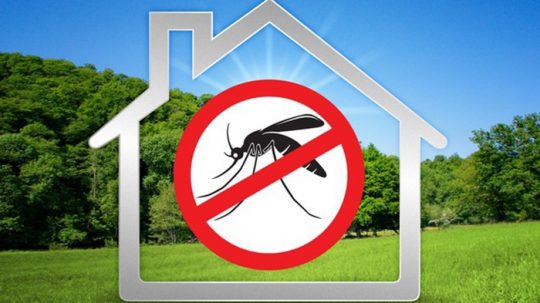 Disinfestazione Zanzare 2019 Disinfestazione Zanzare 2019