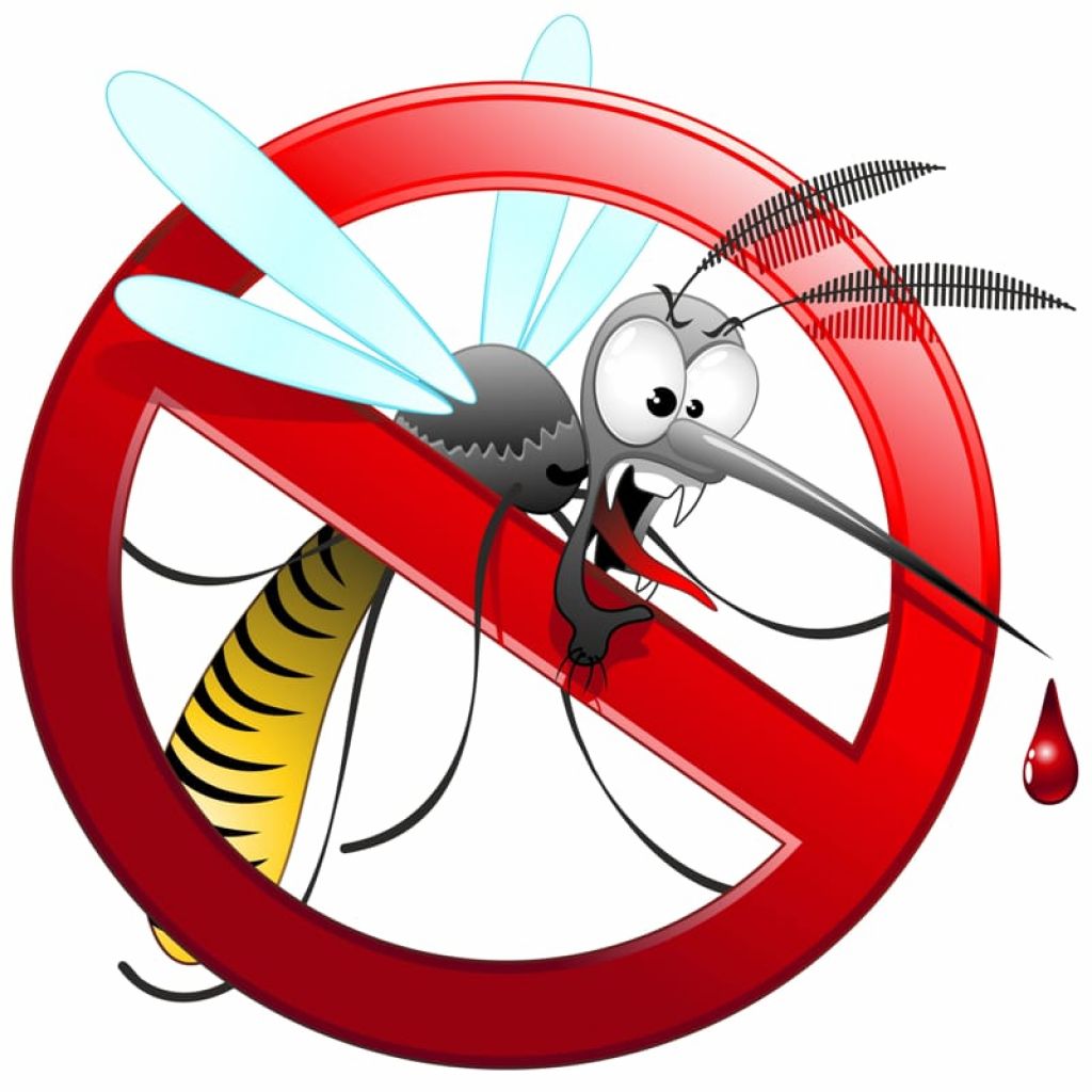 Dezanzarizzazione su aree private e Informazioni su Dengue