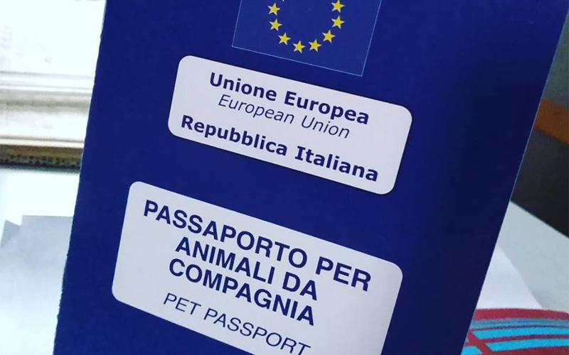 titolo immagine