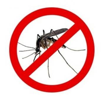 Disinfestazione dalle zanzare